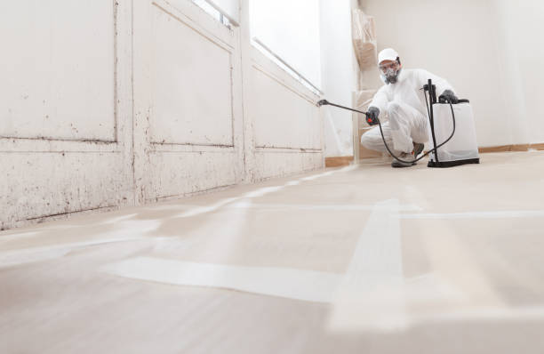 24/7 Emergency Mold Remediation experts in Jackson, KY